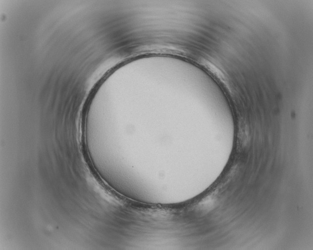 X0000089381082200707061133