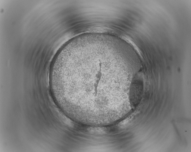 X0000089381083200707061133