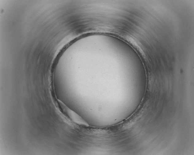 X0000089381085200707061133