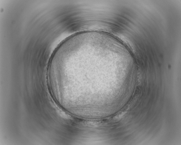 X0000089381086200707061133