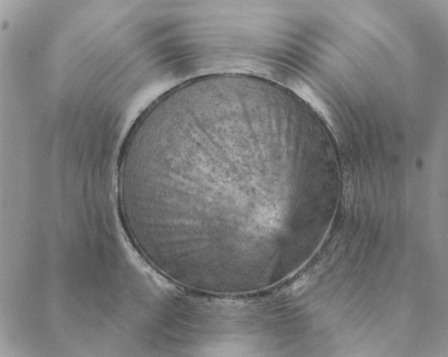 X0000089381088200707061133