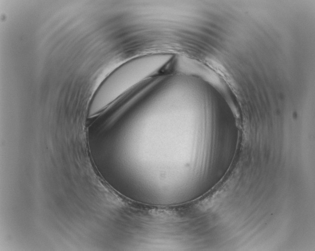 X0000089381089200707061133