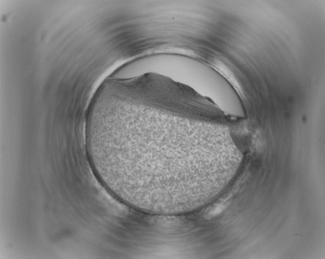 X0000089381092200707061133