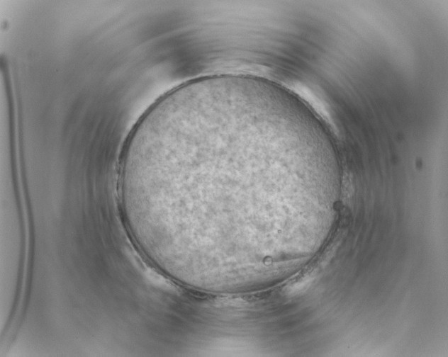 X0000089381094200707061133