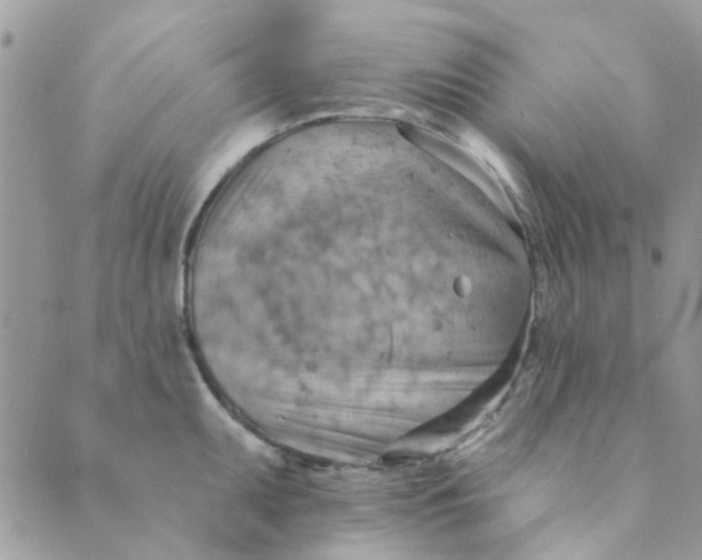 X0000089381095200707061133