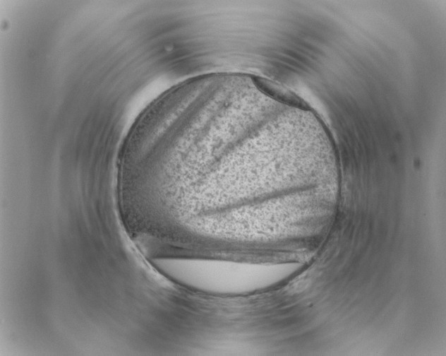 X0000089381096200707061133