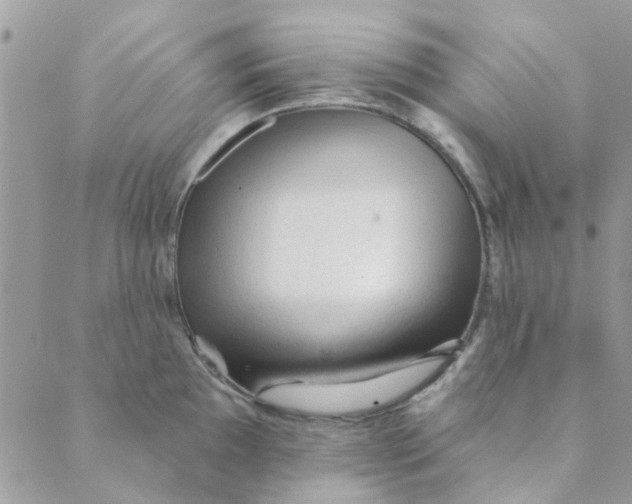 X0000089381097200707061133