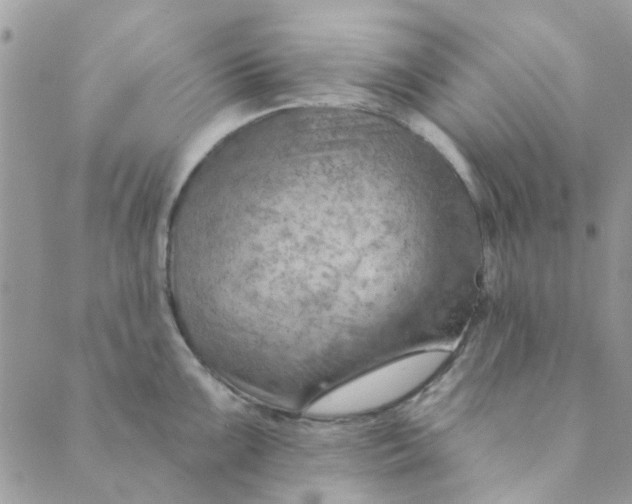 X0000089381099200707061133