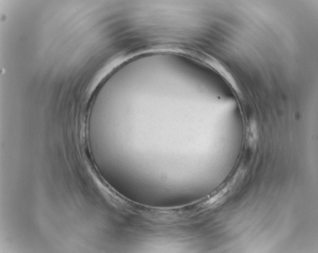 X0000089381101200707061133