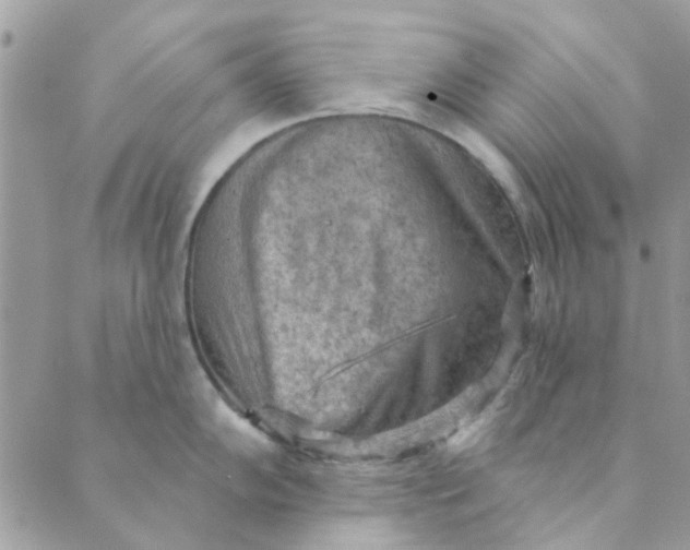 X0000089381102200707061133