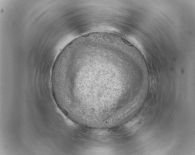 X0000089381103200707061133