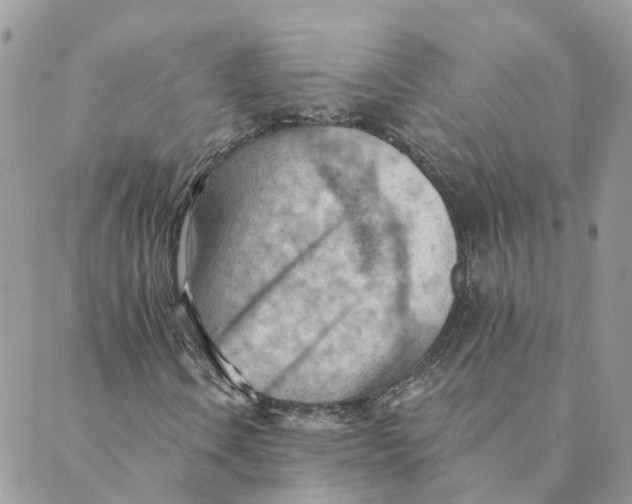 X0000089381106200707061132