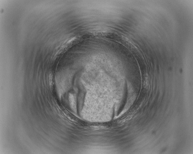 X0000089381108200707061132