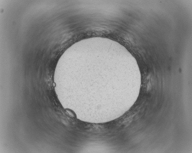 X0000089381109200707061132