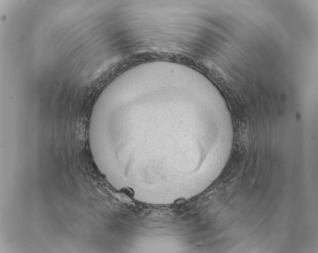 X0000089381110200707061132