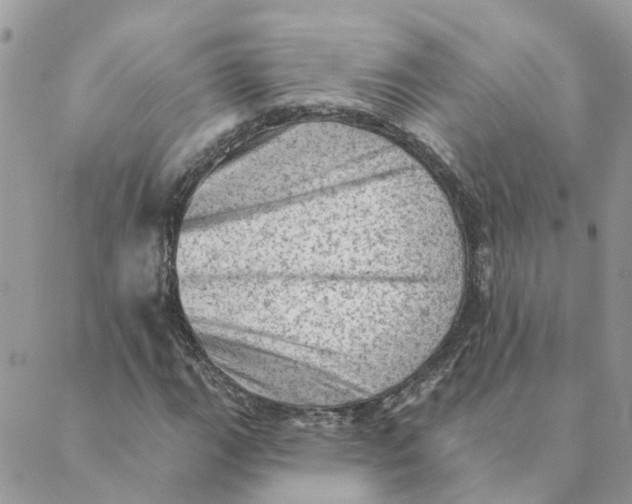 X0000089381111200707061132