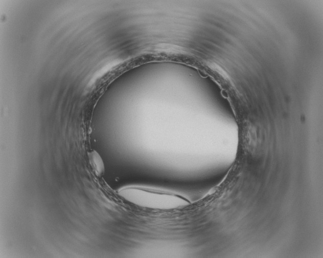 X0000089381112200707061132