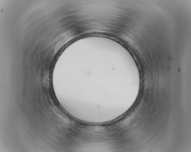 X0000089381113200707061132