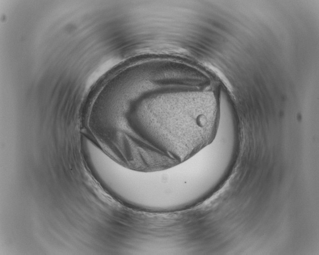 X0000089381114200707061132