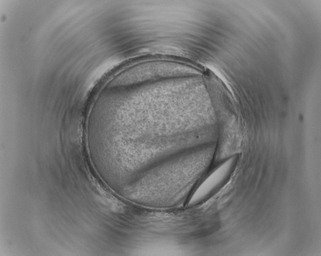 X0000089381115200707061132