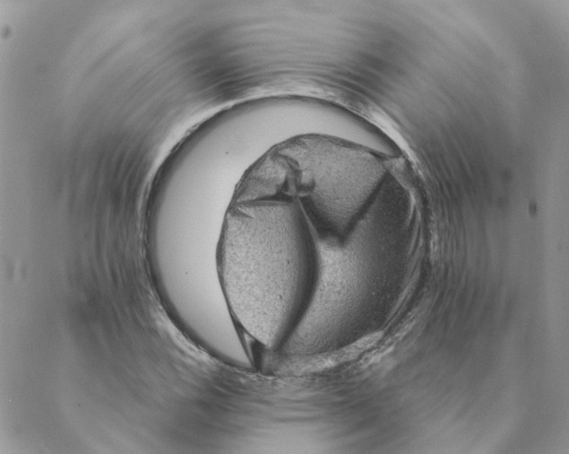 X0000089381116200707061132