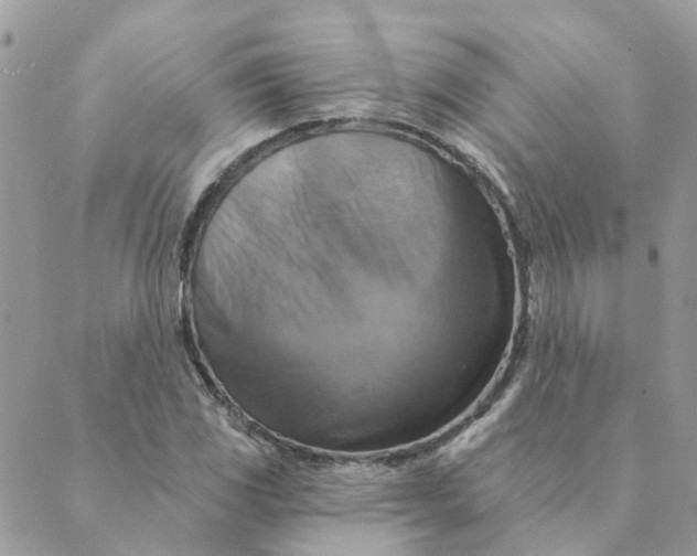 X0000089381117200707061132