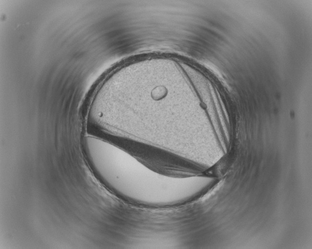 X0000089381118200707061132