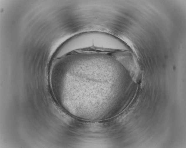 X0000089381120200707061132