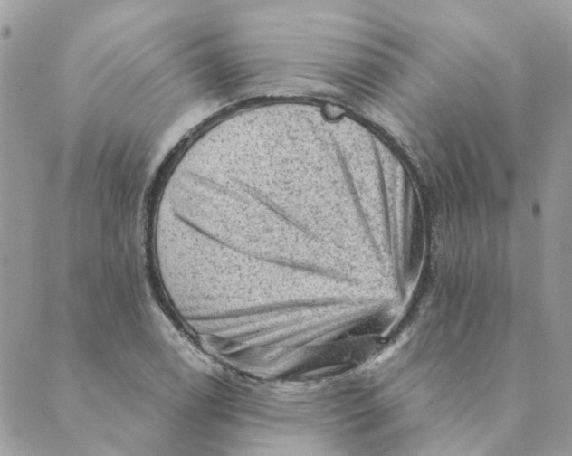 X0000089381122200707061132