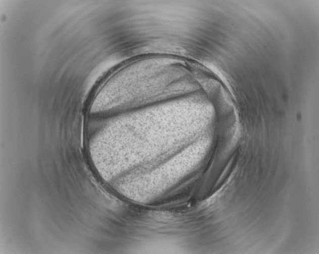 X0000089381123200707061132