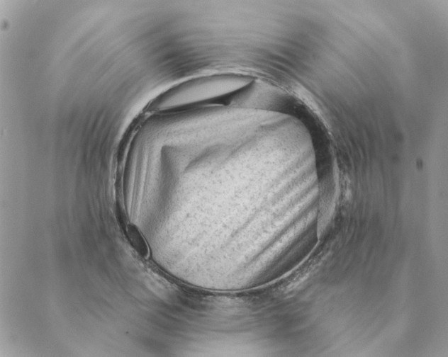 X0000089381124200707061132