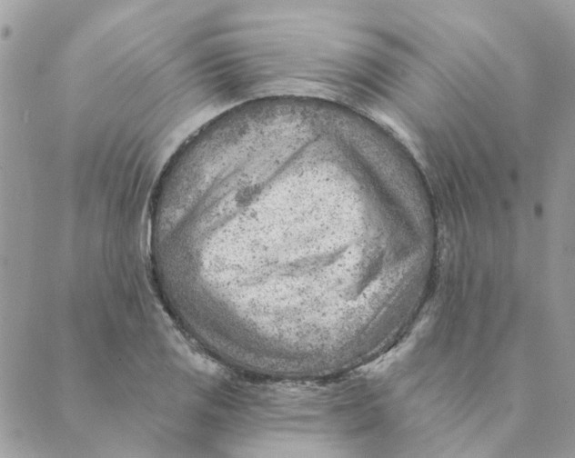 X0000089381125200707061132