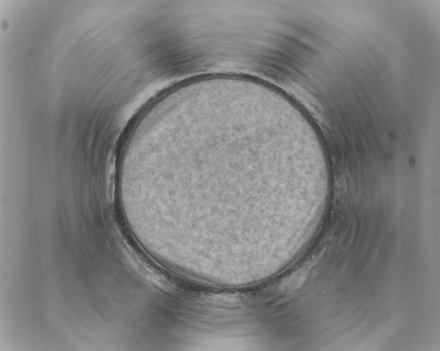 X0000089381126200707061132