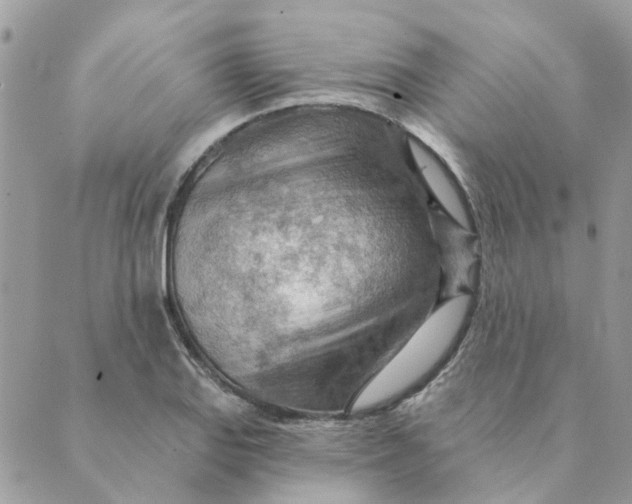 X0000089381127200707061132