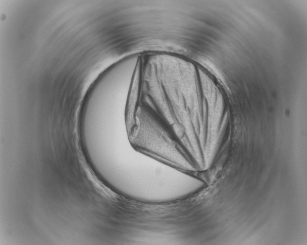 X0000089381128200707061132