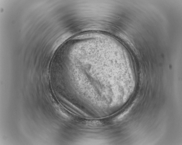 X0000089381129200707061132