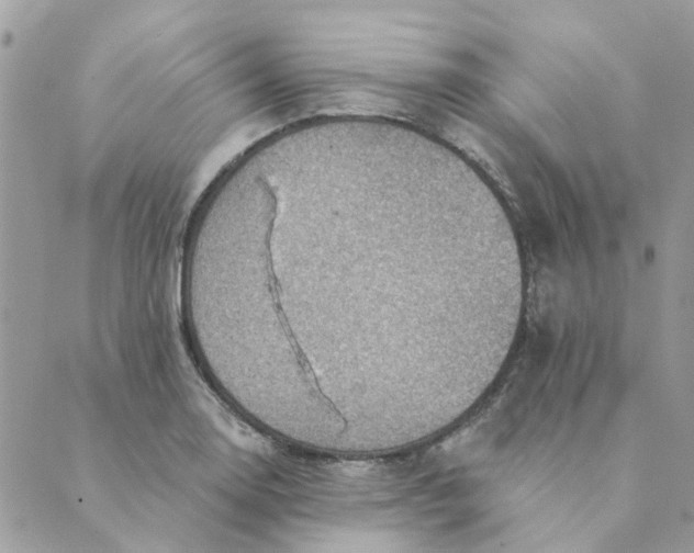 X0000089381130200707061132