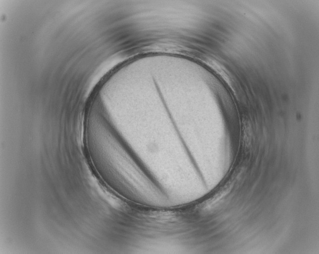 X0000089381131200707061132