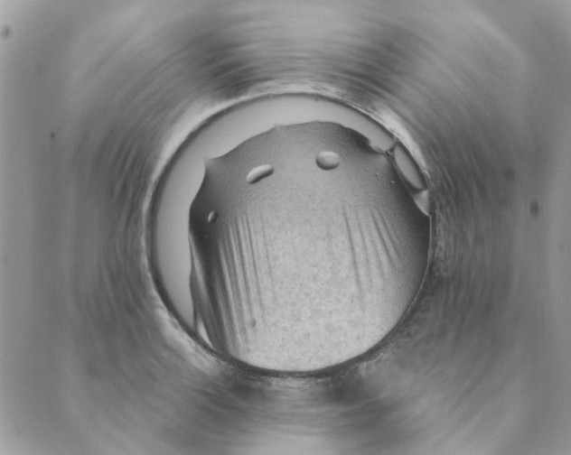 X0000089381132200707061132