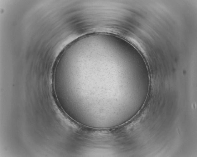 X0000089381133200707061132