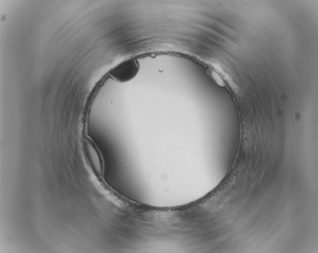 X0000089381134200707061132