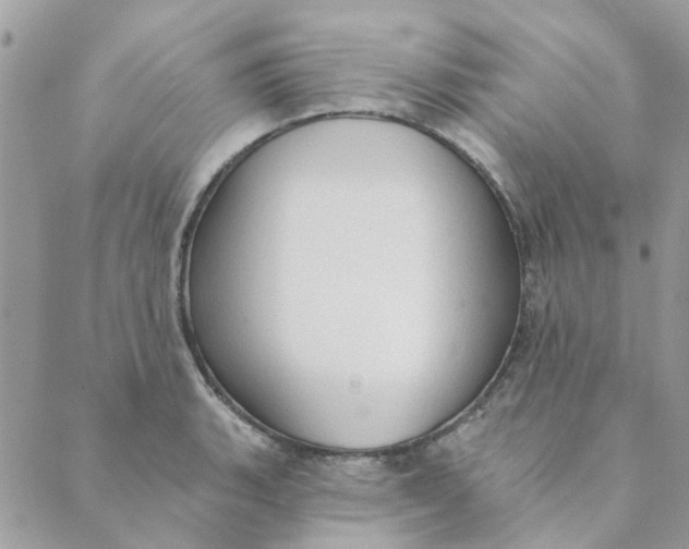 X0000089381135200707061132