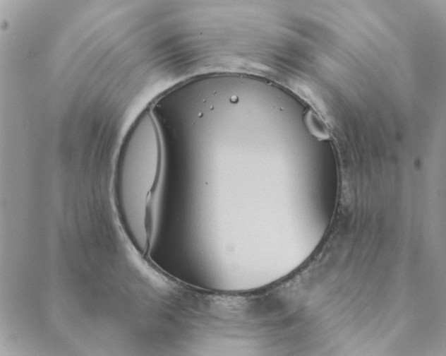 X0000089381136200707061132