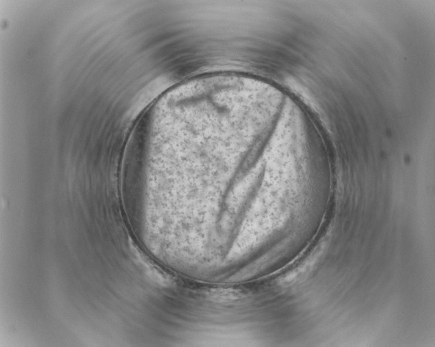 X0000089381137200707061132