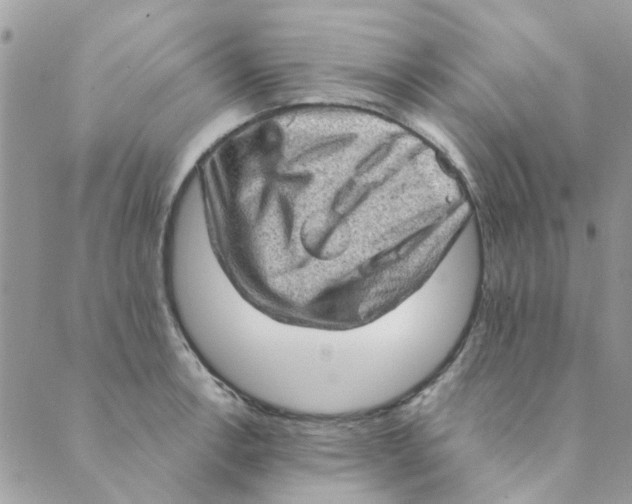 X0000089381138200707061132