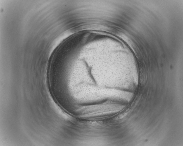 X0000089381139200707061132