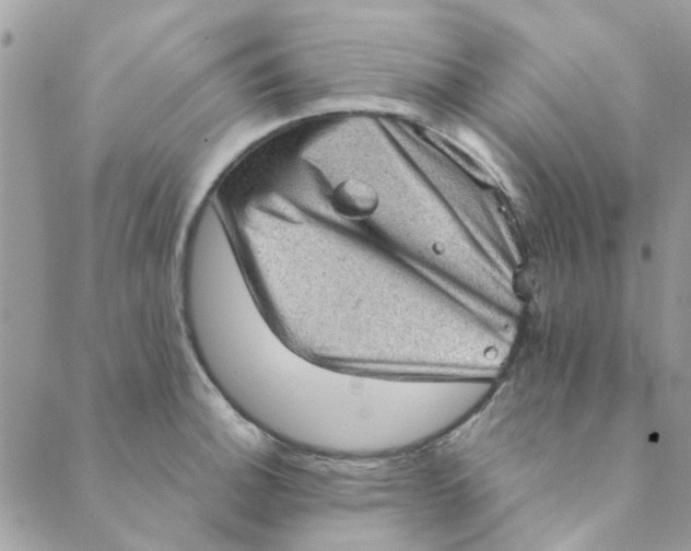 X0000089381140200707061132