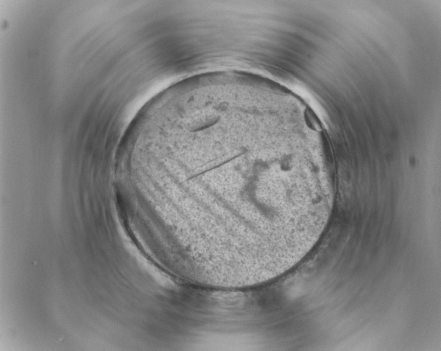 X0000089381142200707061132