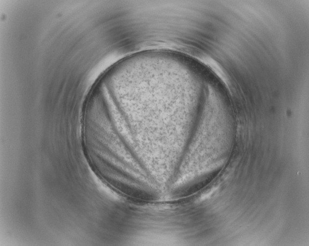 X0000089381143200707061132