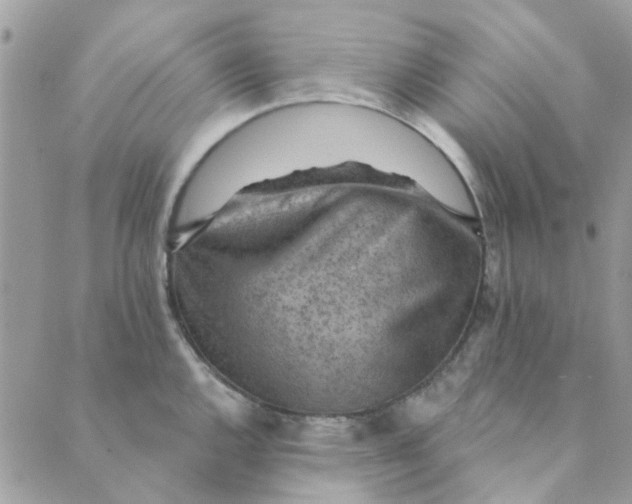 X0000089381144200707061132